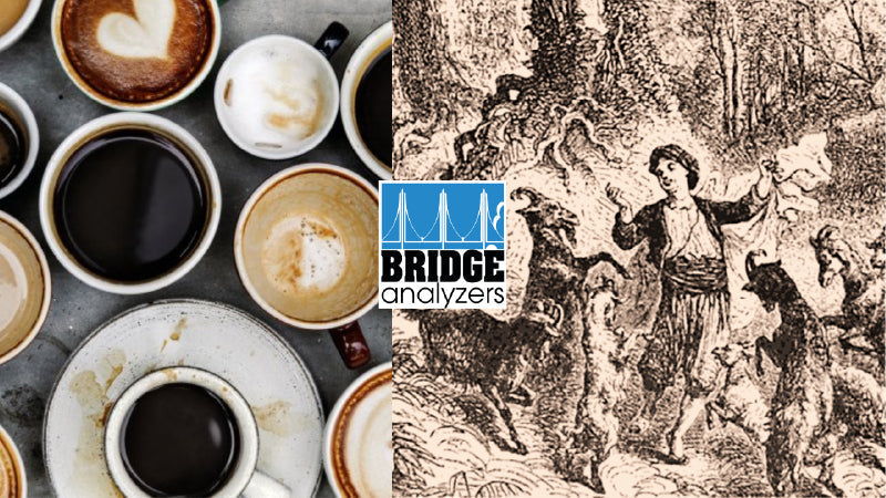 A Brief History of Coffee Quality Control