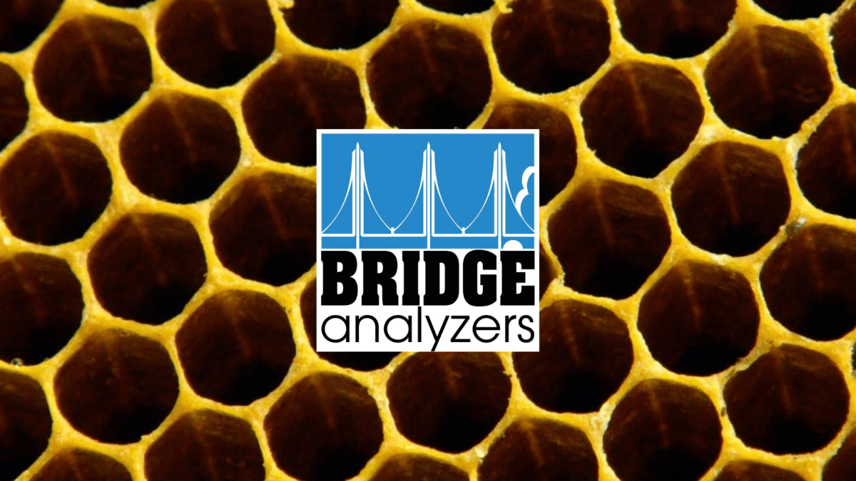 The Catalytic Converter & Exhaust Gas Analyzers